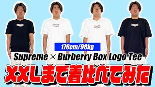 サイズ比較】Supreme×Burberry Box Logo TeeをXXLまで着比べてみる