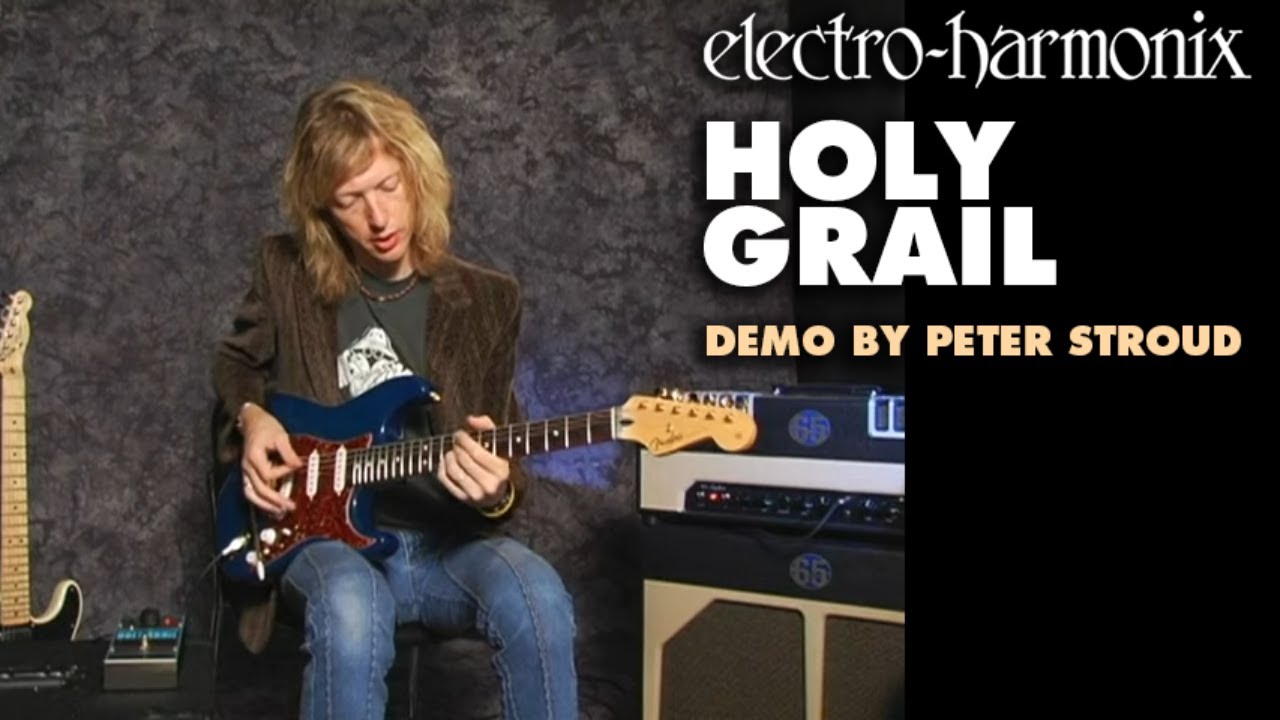 ELECTRO-HARMONIX ( エレクトロハーモニックス ) HOLY GRAIL NANO 送料