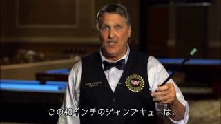 マーティキャリー ジャンプキュー J9 Marty Carey's JumpQ｜ビリヤード