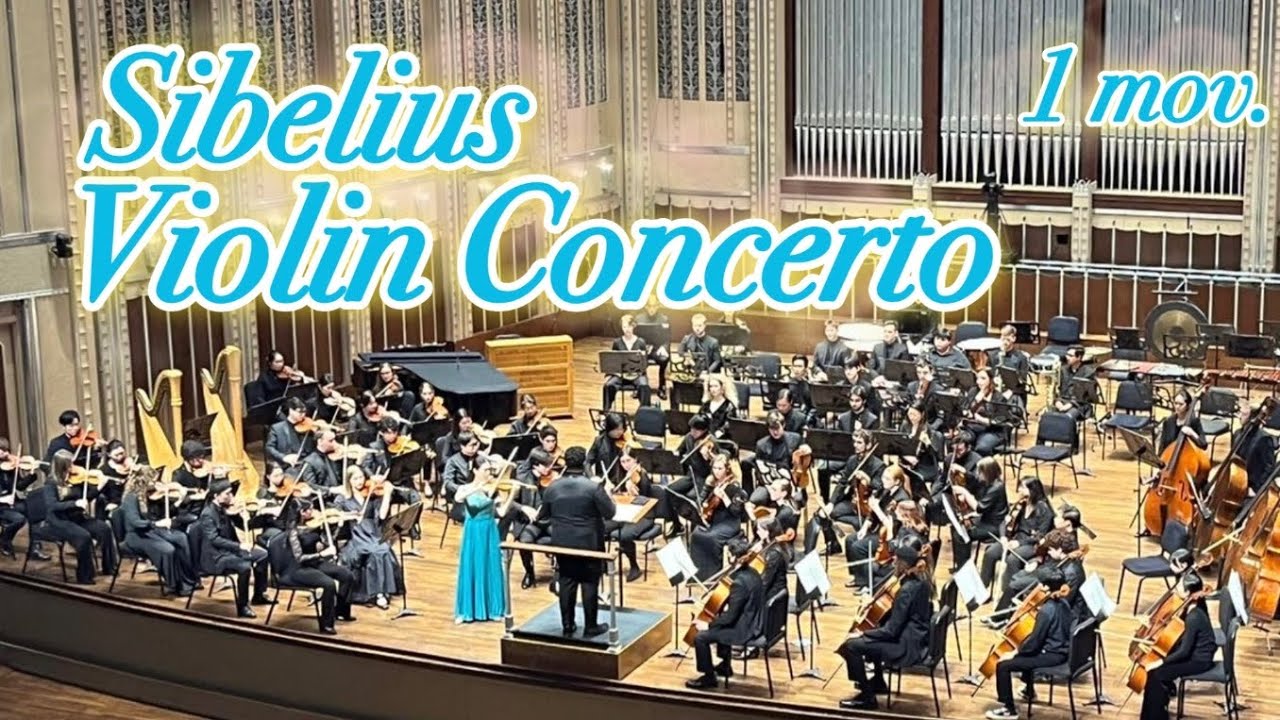 Sibelius: Violin Concerto in D minor, Op.47 - I. Allegro moderato