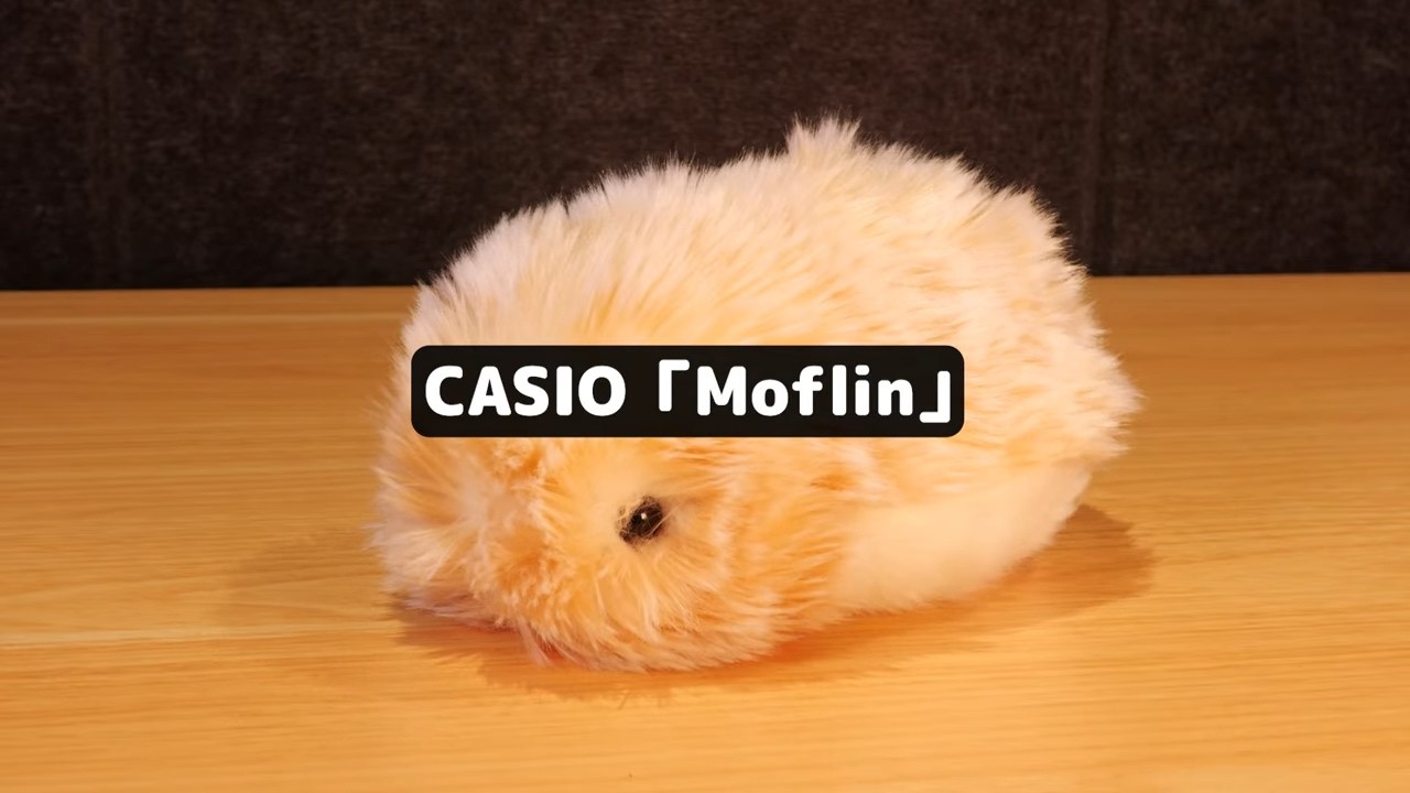 It can even revive!] Casio's AI-powered fluffy pet is soothing