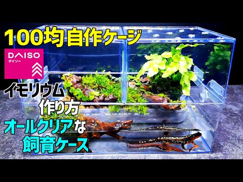 100均自作ケージで【イモリウムの作り方】両生類・爬虫類に最適な