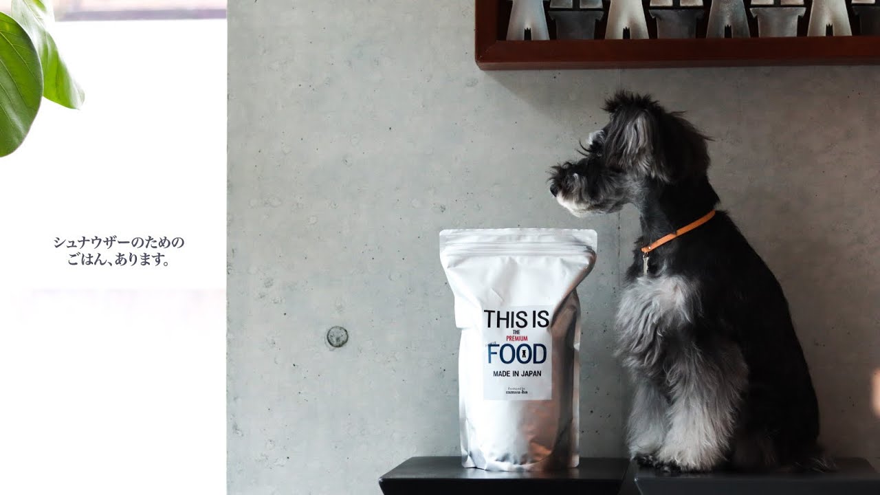 馬肉】シュナウザー・テリア専用 mmsu-haプレミアムドッグフード 1kg袋