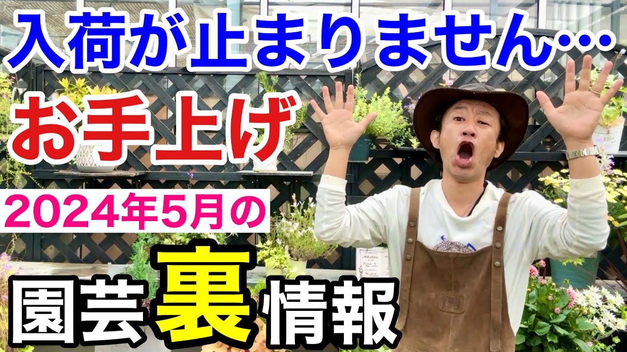 この植物に注意】5月買っておかないと損する植物教えます 【カーメン君