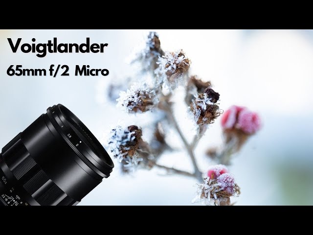 MACRO IN THE SNOW: Voigtlander 65mm f/2 APO-Lanthar Macro for