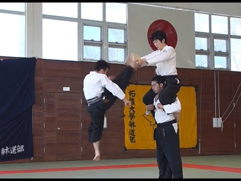 貴重 祝嶺制献 新空手道教範 玄制流 躰道 拳法 武術 古武道 空手道