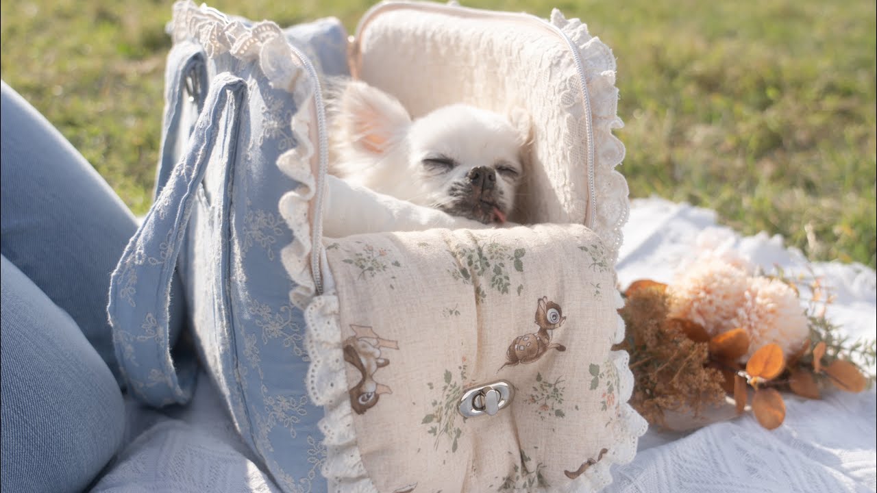 AJIBAG CUBE EMB [Baby Blue] - BABIANA JAPAN