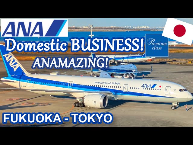 ANA's WONDERFUL PREMIUM CLASS | DOMESTIC BUSINESS CLASS | Fukuoka
