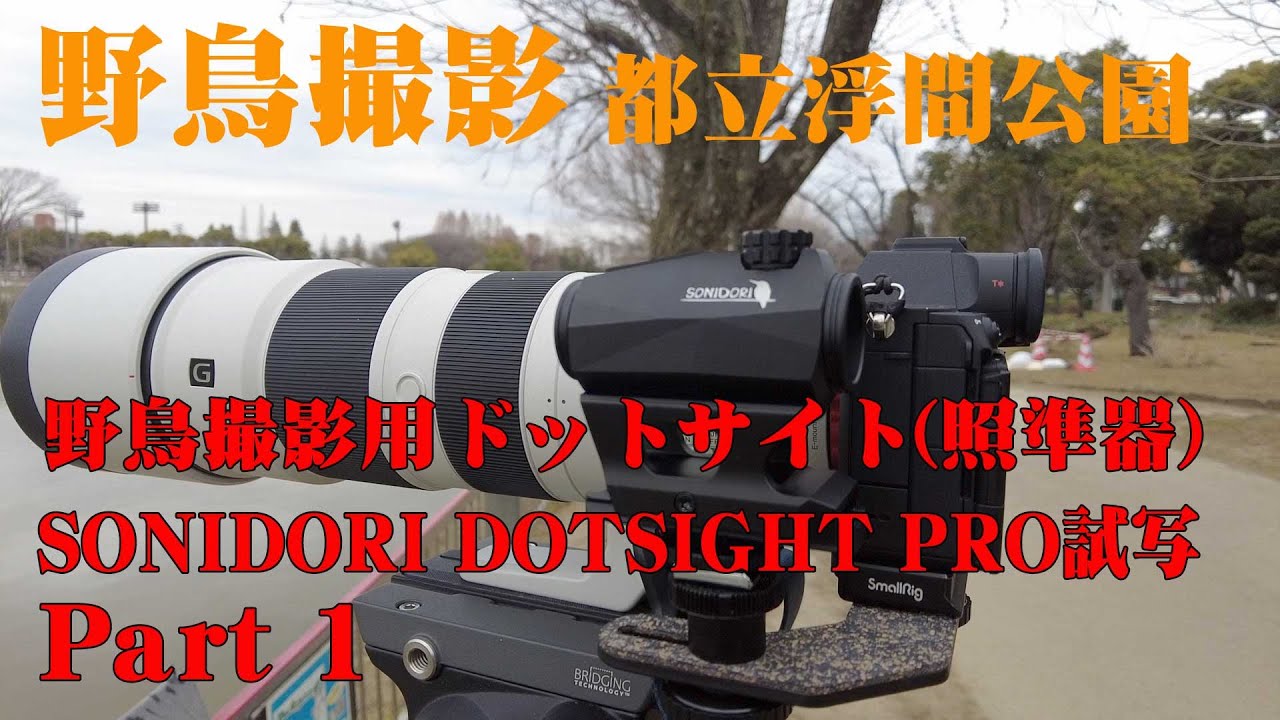 野鳥撮影】野鳥撮影用ドットサイト SONIDORI DOTSIGHT PRO試写 【都立
