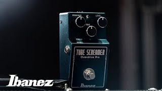 Ibanez has a new handwired Tube Screamer – and it doesn't come cheap