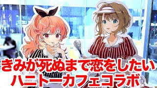 きみ死ぬ】『きみが死ぬまで恋をしたい』×ハニトーカフェ秋葉原店