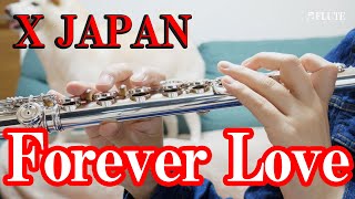 フルート】Forever Love/X JAPAN【演奏してみた】FLUTE - YouTube