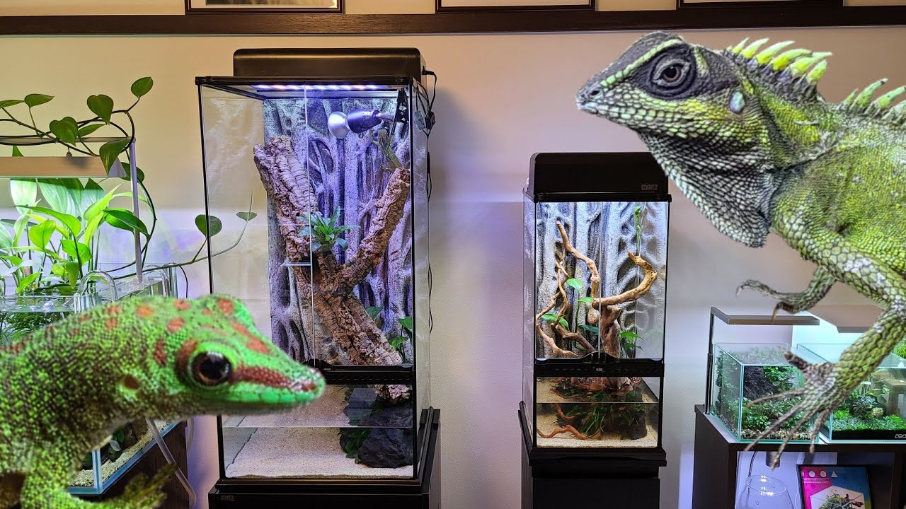 グラステラリウム4590·3060へお引っ越し - YouTube