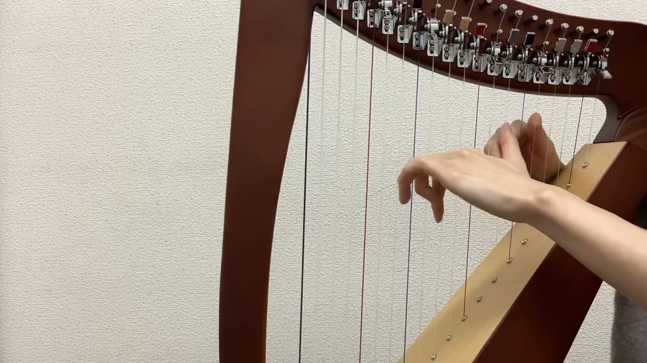 グレースハープ・インターナショナル / フレックスハープ20