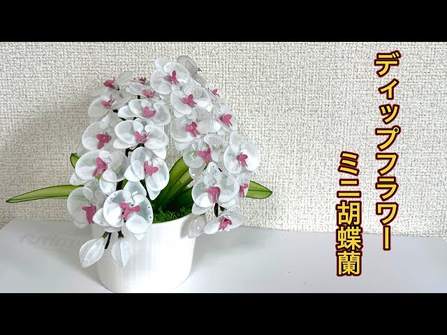 アメリカンフラワー ディップフラワー 花瓶付 アレンジフラワー 胡蝶蘭