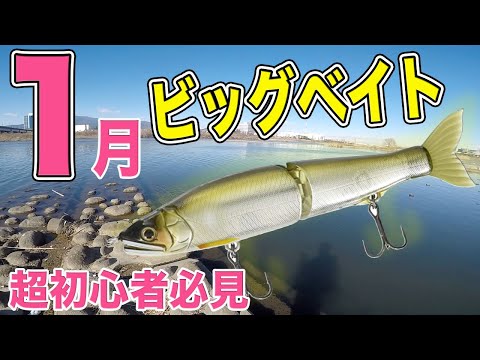 超初心者必見】1月のビッグベイト！！ - YouTube