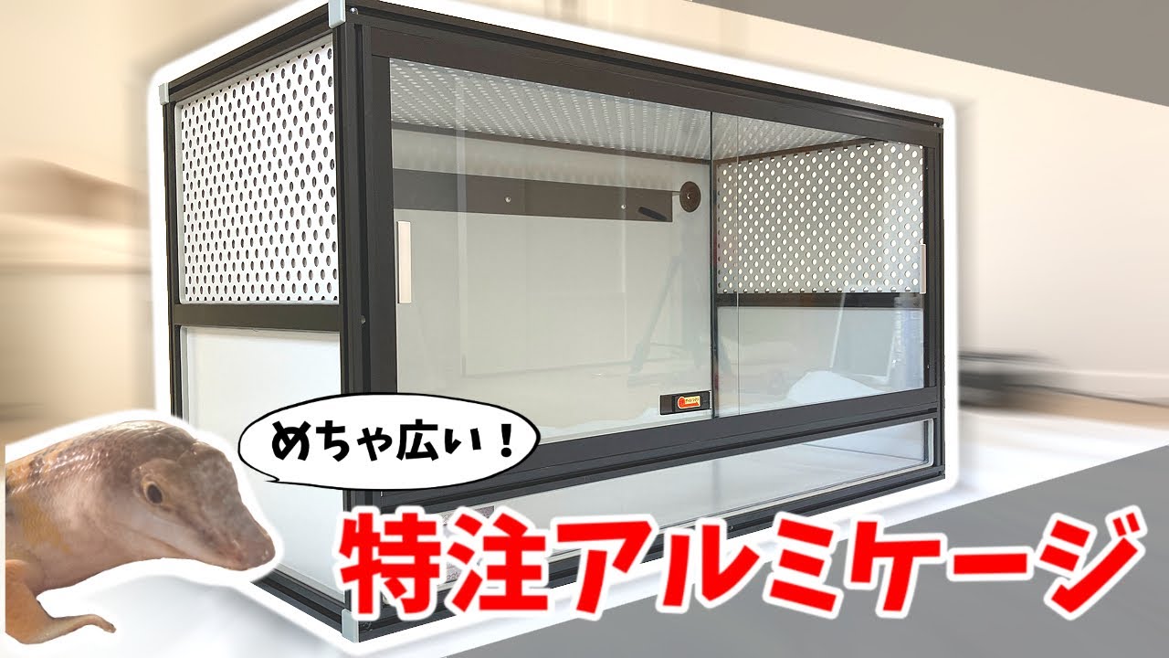 I ordered and assembled a reptile cage with an aluminum frame