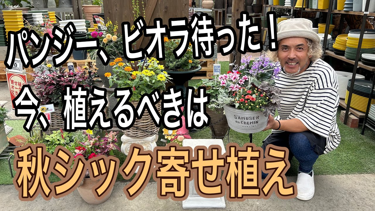 Mixed plantings] Match chic colors to mark the start of autumn