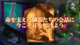 NHKスペシャル 人体 神秘の巨大ネットワーク ブルーレイBOX 全7枚