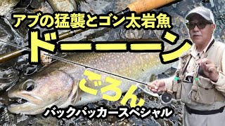 ユーフレックスバックパッカー フライロッド - 加藤毛ばり店