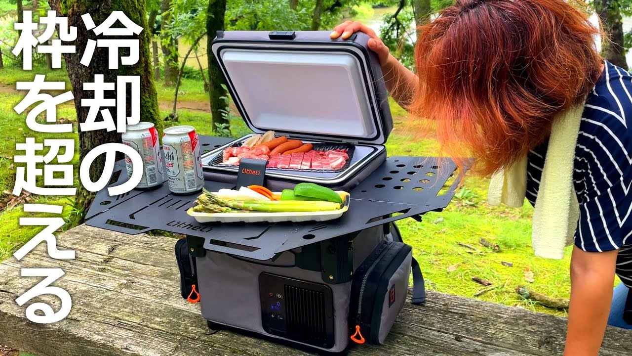 What is the portable refrigerator FrozenPack Wild? A 5-way