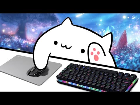 Answering Questions About Bongo Cat V2 (OBS, Streamlabs, Ect