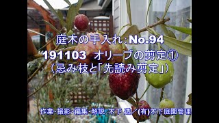 No.094_Olive pruning① 191103 - YouTube