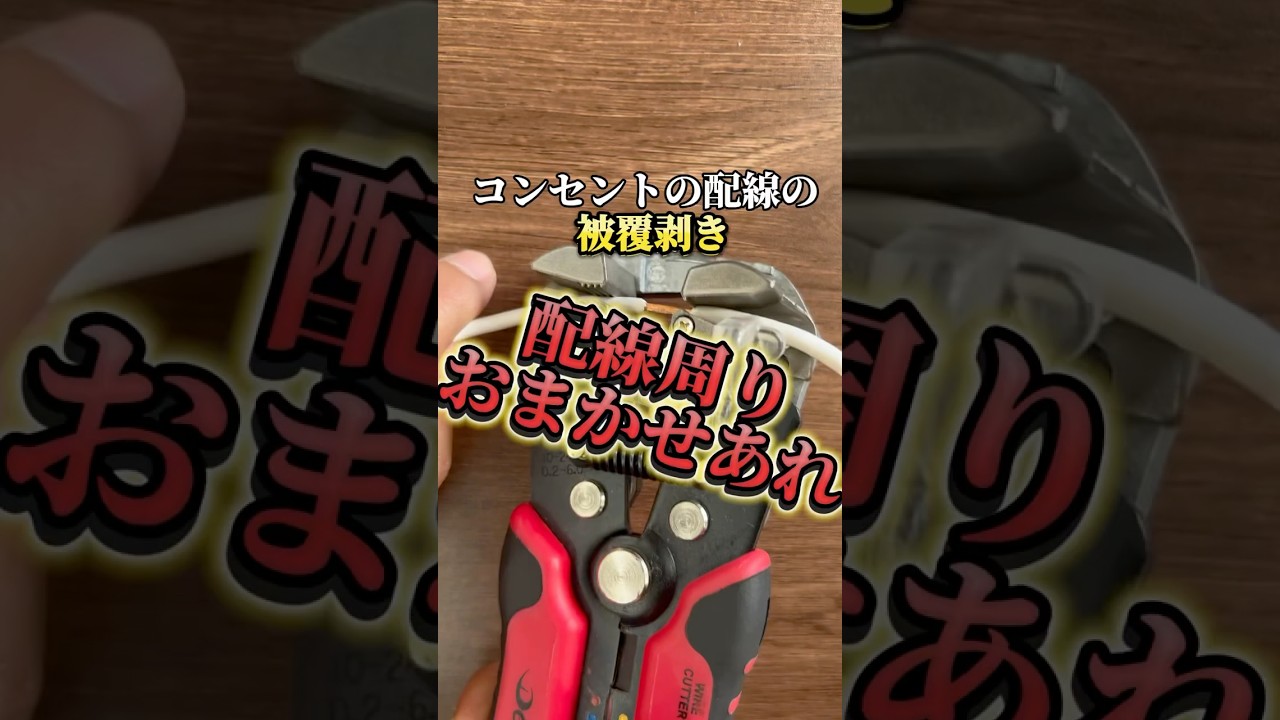 DEEN イージーワイヤーストリッパー DNP-668WS | ファクトリーギア