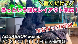 水草レイアウト用 溶岩石M＆ADA雲山石XLサイズ極上個体入荷！AQUASHOP