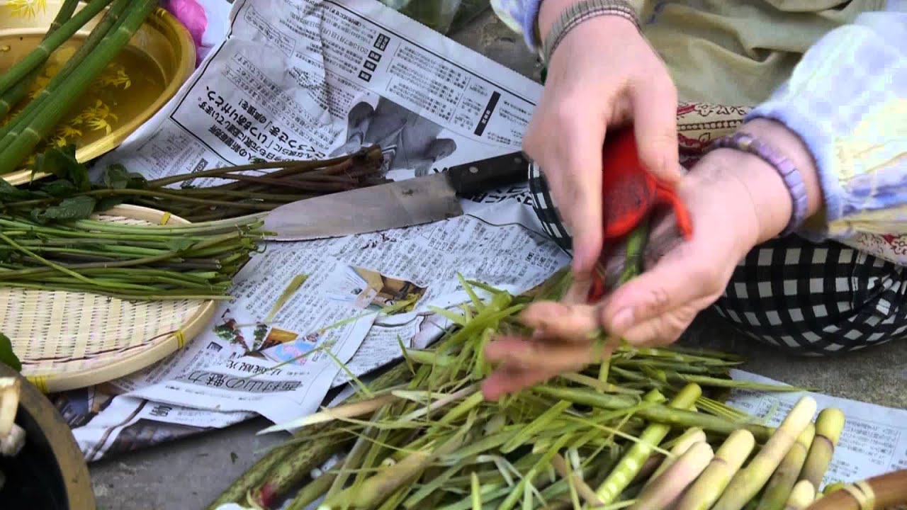 笹竹のむき方 ―山形県鮭川村 - YouTube