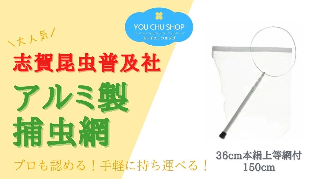 プロが使う信頼のブランド】志賀昆虫普及社（シガコン）アルミ製捕虫網