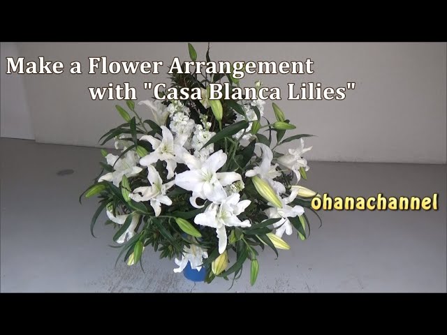 カサブランカを生けます【Make a Flower Arrangement with 