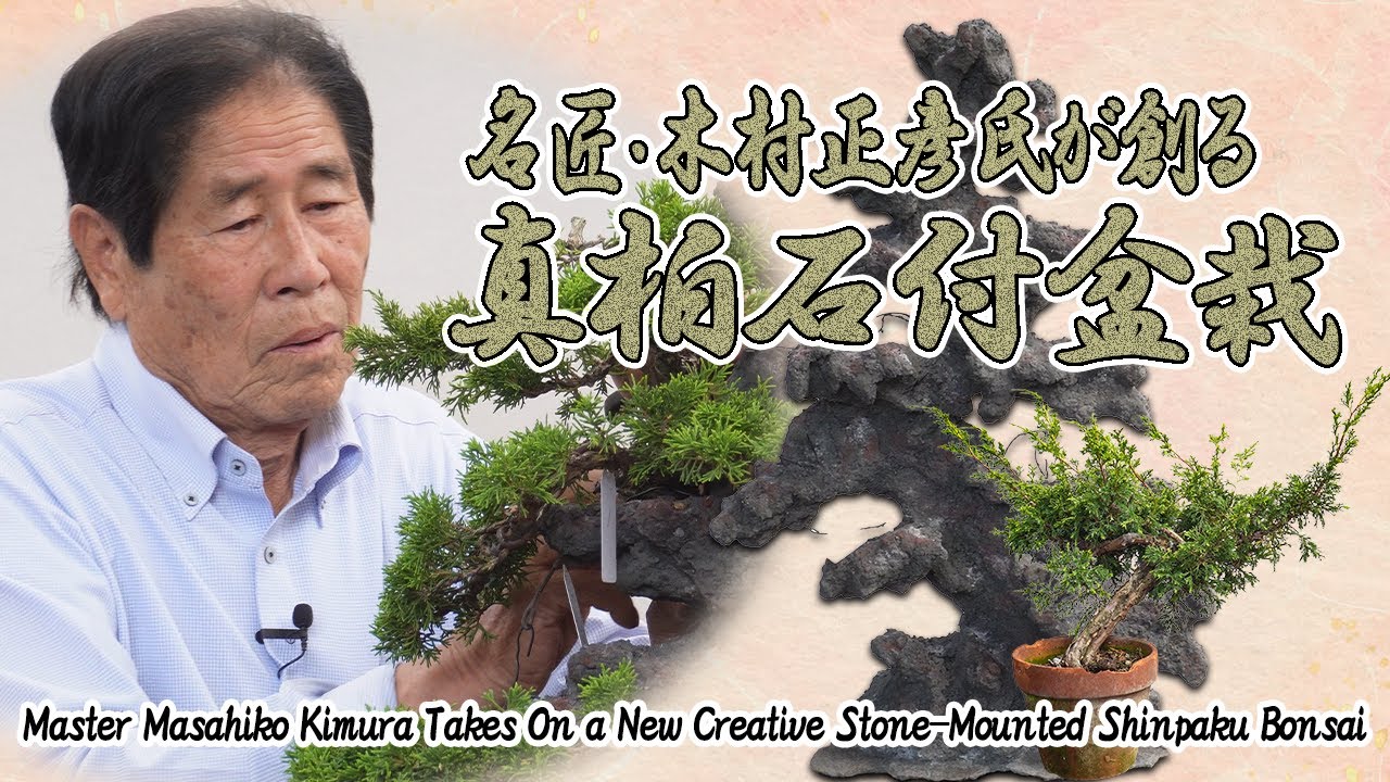 Master Masahiko Kimura Creates a New Stone-Mounted Shinpaku Bonsai