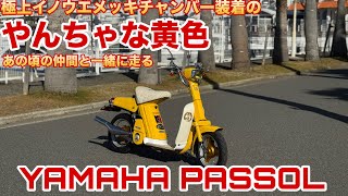 げんつきたづねたび】やんちゃすぎる初期型パッソルはなき友人と一緒に