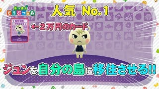 あつ森】超高騰中!! 販売価格2万円のamiiboカード「ジュン」を勧誘し