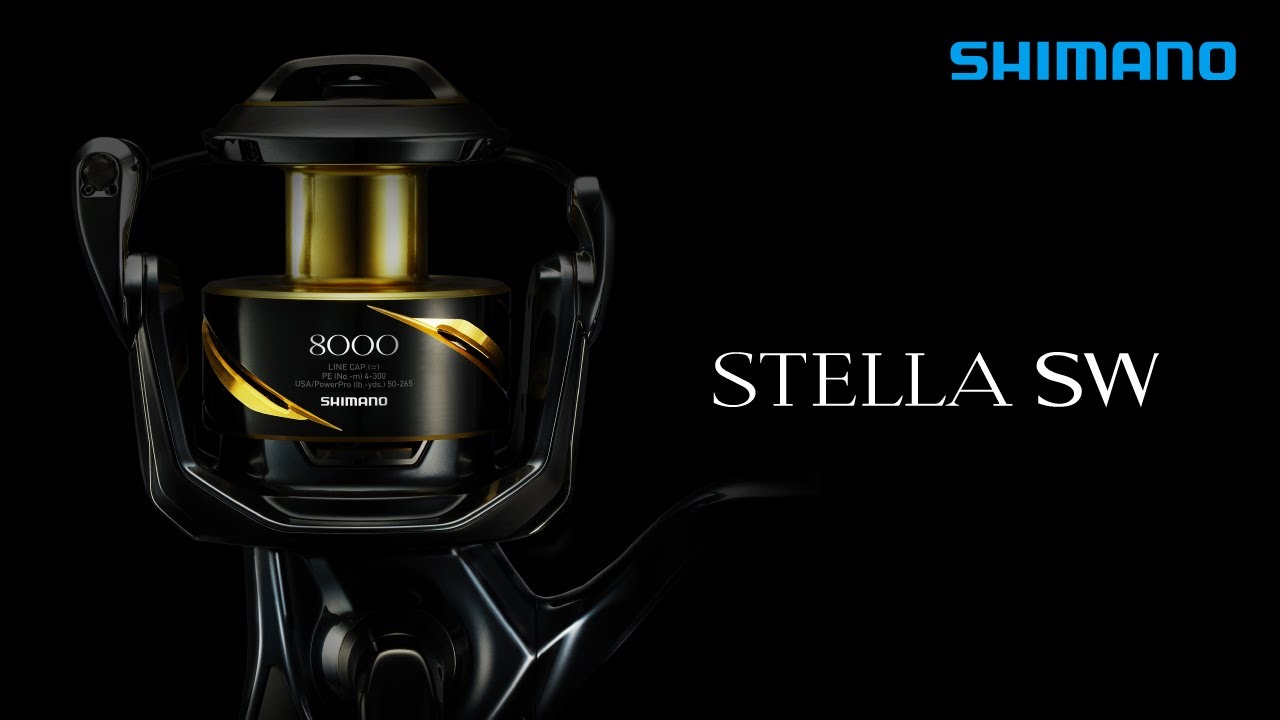 STELLA SW 8000【 PG / HG / XG 】- The wait is over - - YouTube