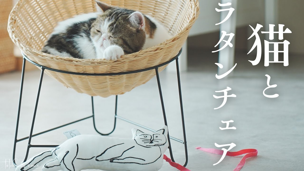 古家具◾️籐ラタン座面×鉄脚アイアンレッグ チェア 椅子 イス B