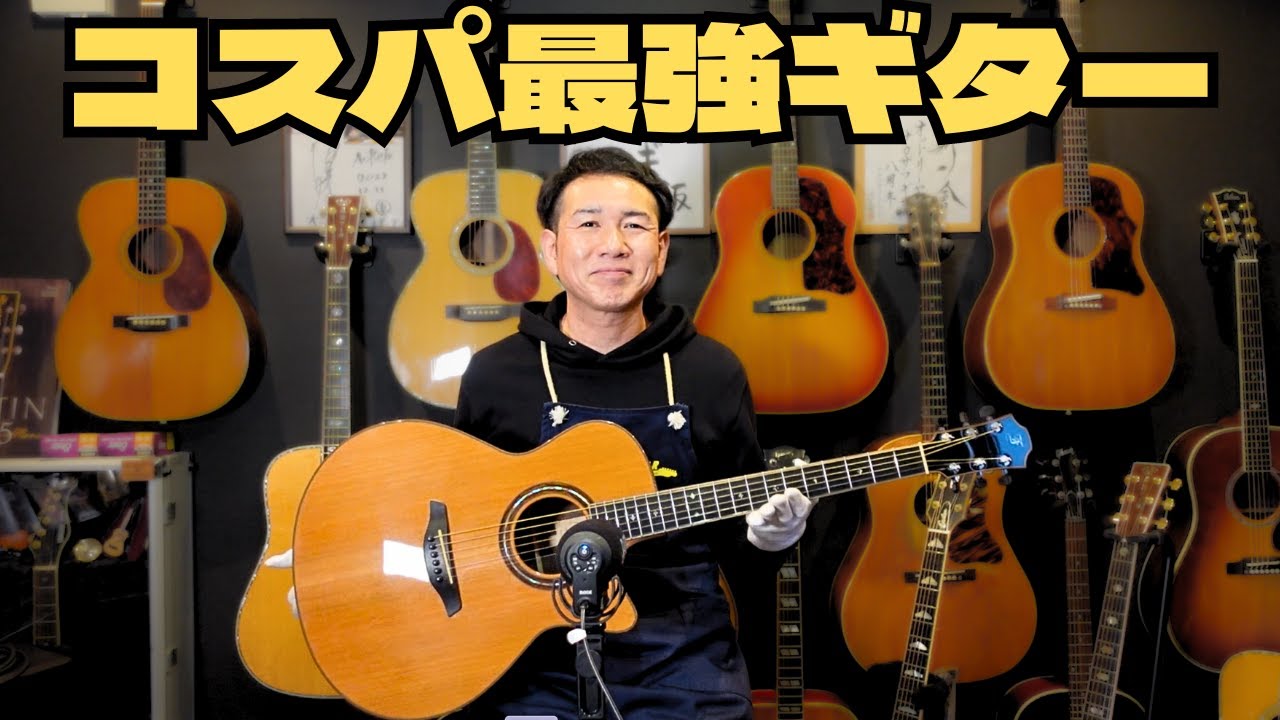 お値打ちシリーズ始めます！このクオリティーでこの価格は凄い