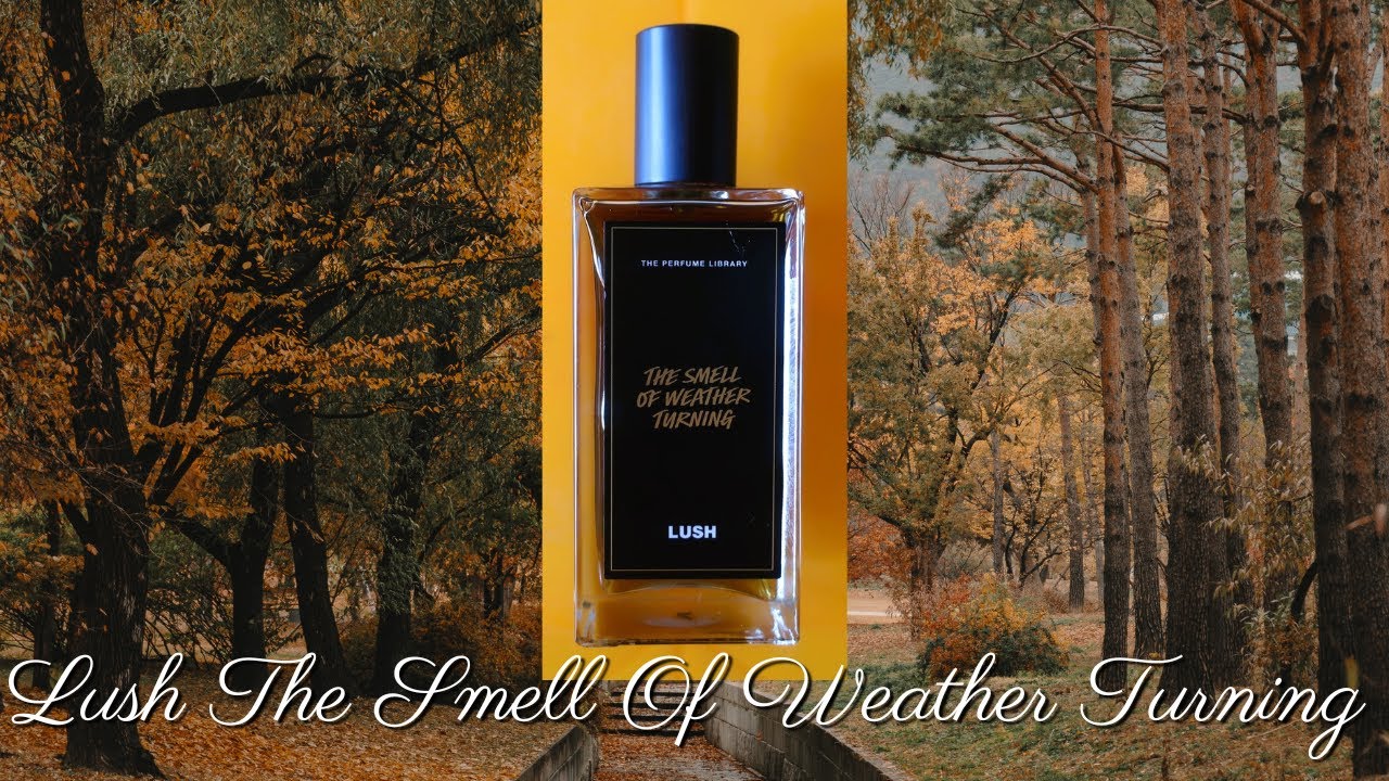 Lush The Smell Of Weather Turning Perfume 100ML Review | A Walk