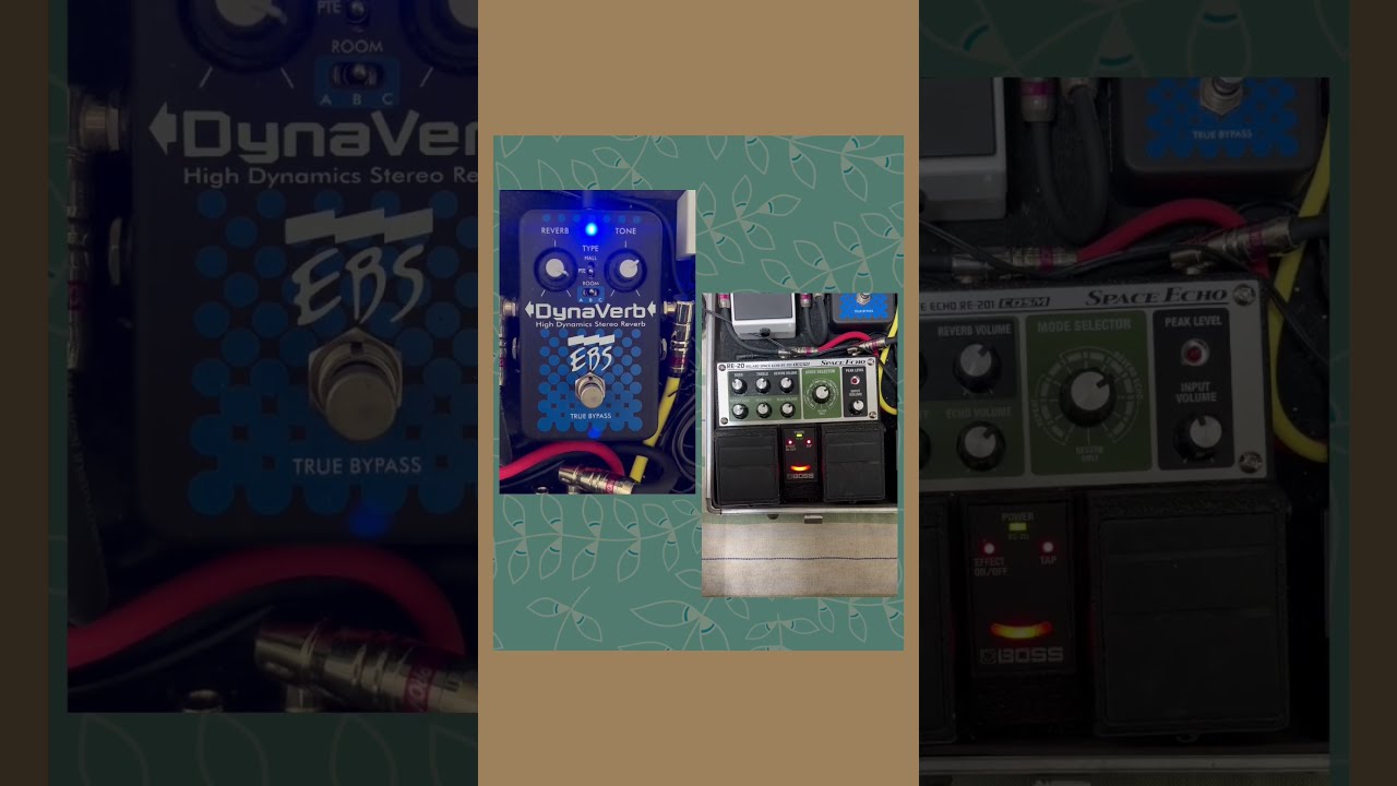 素晴らしきエフェクティブベース｢寝起きのリス｣ #ebs #dynaverb #boss