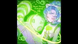 SDVX VM】 Never Forget Evergreen [MXM~NOV] PUC (Hand Shot) - YouTube