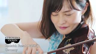 クロサワバイオリン | 弦楽器の総合ショップ