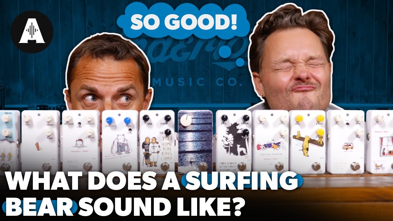 3/5(木)16:00までエフェクターポーチ付属】Animals Pedal SURFING