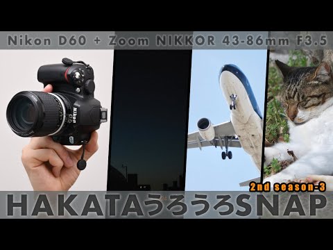 The ancestor of Japanese zoom lenses: Ai Zoom NIKKOR 43-86mm f/3.5