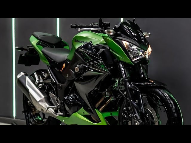 Kawasaki Z250 Review Features, Performance, and Ride Experience
