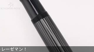 Pelikan ペリカン 万年筆 スペシャルエディション スーベレーン M1005