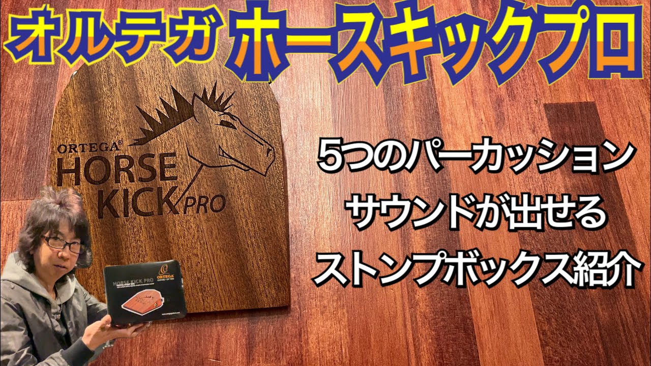 機材紹介】オルテガ ホースキックプロ(ORTEGA HORSE KICK PRO)ストンプ
