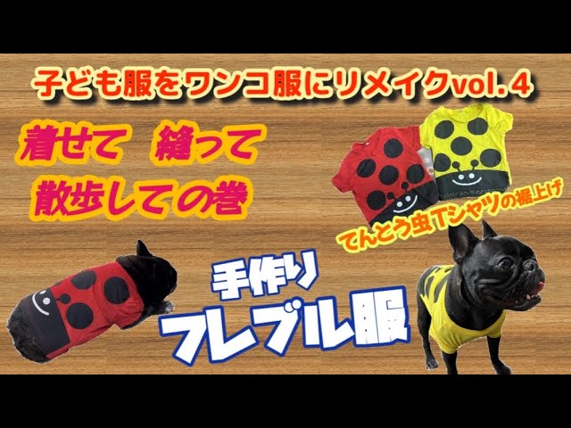 My French Bulldogs in handmade clothing❣️簡単！お腹の裾上げだけ