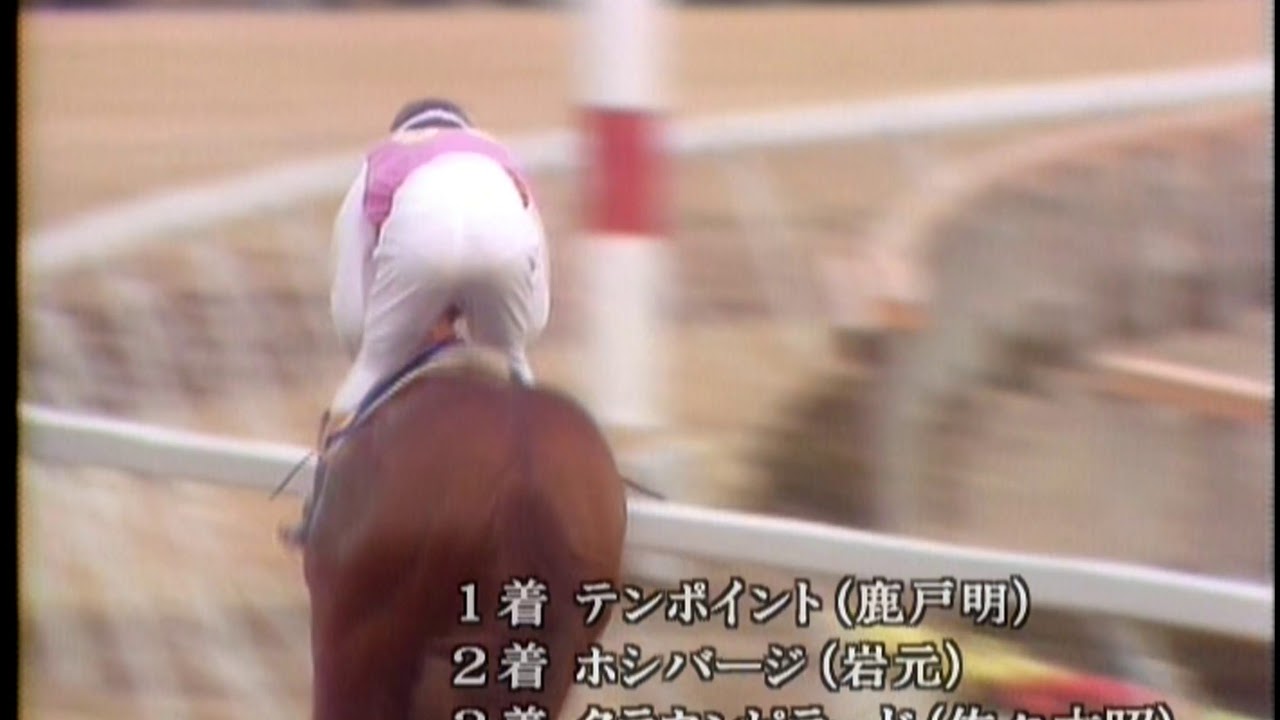 貴重映像・昭和レトロ】流星の貴公子 テンポイント 1977年有馬記念