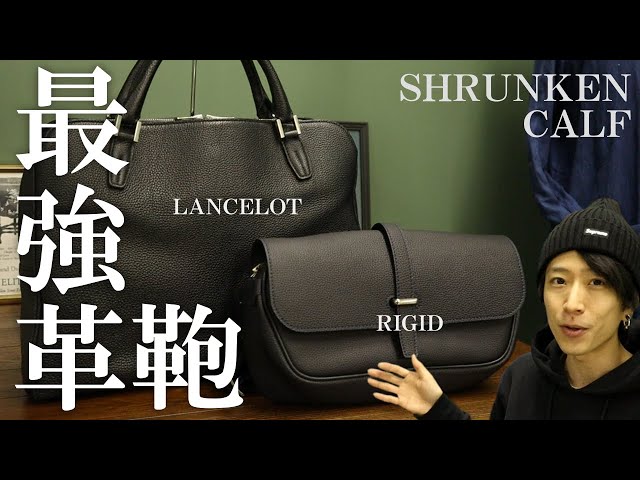 ワイルドスワンズ】ランスロットとリジッドのご紹介！シュランケン